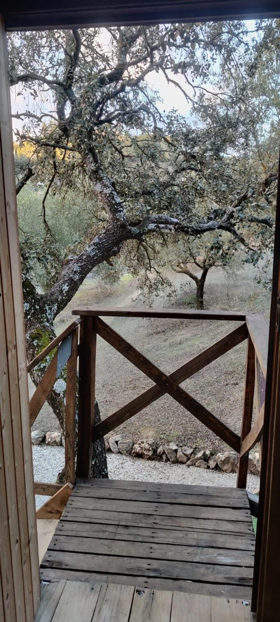Cabana Del Arbol Lavagarural Villanueva del Rosario Exterior foto